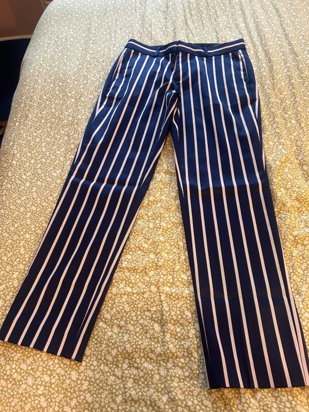 Banana Republic Navy Blue Striped Ankle Pants
